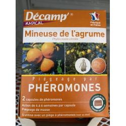 Pheromone Mineuse de l'Agrume 