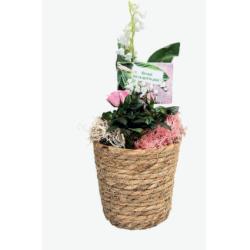Compo muguet 