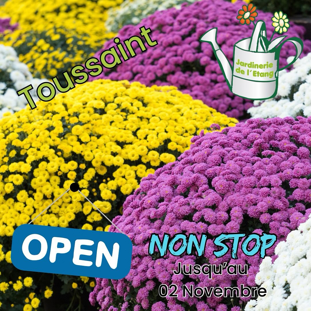 Votre Jardinerie reste ouverte tout les jours jusqu’au 02 octobre inclus.

Retrouvez tous vos Chrysanthèmes, cyclamen, pensée, violas … pour la Toussaint 

#toussaint #chrysantheme #cyclamens #jardinerie #berreletang