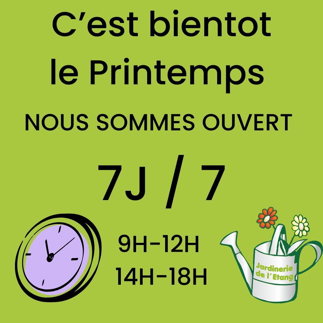 🌸 Le printemps arrive à la Jardinerie de l’Étang ! 🌿

Les beaux jours reviennent et la nature reprend vie 🌞. C’est le moment parfait pour préparer le jardin, fleurir les terrasses et redonner des couleurs aux espaces extérieurs 🌷🌼.

La Jardinerie de l’Étang est désormais ouverte 7 jours sur 7, de 9h à 12h et de 14h à 18h 🕘🌻. Venez quand bon vous semble pour trouver tout le nécessaire au jardinage et à l’entretien de vos plantes 🌱.

Un vaste choix de plantes, fleurs, arbustes, arbres fruitiers et plants potagers est disponible pour tous les goûts 🍅🌳. Les rayons proposent également une large gamme de terreaux, engrais, outils, pots, décorations et accessoires de jardin pour embellir chaque espace vert 🪴✨.

La jardinerie dispose aussi d’un espace animalerie 🐾 entièrement réorganisé, offrant une sélection complète d’aliments, friandises et accessoires pour chiens, chats, oiseaux, poissons et petits animaux 🐶🐱🐦🐠.

L’équipe de la Jardinerie de l’Étang, passionnée et expérimentée 💚, accueille et conseille chaque visiteur avec le sourire 😊. Toujours à l’écoute, elle partage son savoir-faire pour aider à choisir les bonnes plantes, entretenir le jardin ou prendre soin des animaux de compagnie 🌺🐕.

📍 Adresse : 2300 route des Baisses, 13130 Berre-l’Étang
🕒 Horaires : Ouvert tous les jours de 9h à 12h et de 14h à 18h

Jardinerie de l’Étang — la passion du jardin et de la nature, au service de toutes les envies 🌿💐

#JardinerieDeLEtang #Printemps #Jardin #Fleurs #Plantes #BerreLEtang #Animalerie #Nature #Jardinage #PassionVerte #Ouvert7JoursSur7