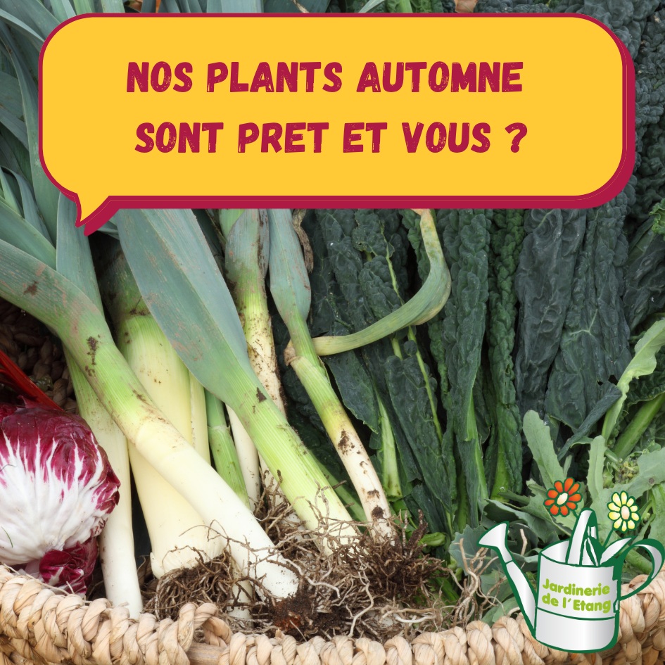 Avec les fortes chaleurs, on s’adapte pour mieux vous accueillir ☀️

La jardinerie est ouverte uniquement le matin, de 8h à 12h, du lundi au samedi.

Passez tôt, profitez de la fraîcheur, et on vous aide à préparer un jardin potager au top 🌿

🌱 Nouveau : Arrivage Plants potagers automne-hiver

Comme chaque année, venez découvrir nos plants pour de belles récoltes d’automne-hiver 🍂❄️ — votre partenaire jardin est là pour vous conseiller avec le sourire !
🥬 Chou
🌿 Fenouil
🥬 Blette
🥬 Céleri
🥗 Salade
🥕 Carotte
🧅 Oignon
🧄 Ail

On vous attend dès demain matin 🤗 Passez nous voir avant midi et repartez avec vos plants préférés !

📍 Infos pratiques
Horaires d'été : 8h - 12h | Lundi au Samedi
Jardinerie de l'Etang
Adresse : 2300 Route des Baisses 13130 Berre l’étang 
Tél. : 07 68 13 86 85
Site : https://jardineriedeletang.fr

#Jardinerie #PlantsPotagères #RécolteAutomne #JardinBio #JardinPotager #LegumesDeSaison #JardinageNaturel #HorairesEte #PlantsBio #CulturePotagere #JardinLocal #PlantationAutomne