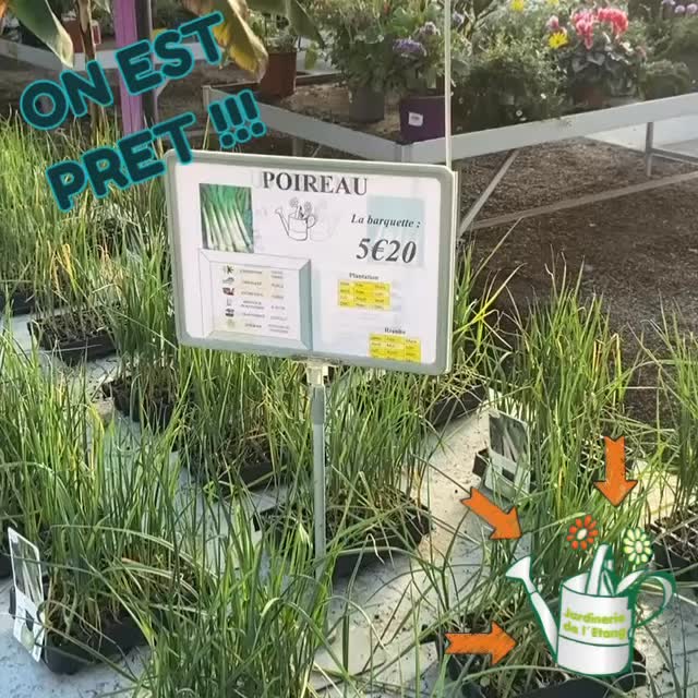 🌿 C’est parti ! 🌱
La saison du #potager démarre à la #Jardineriedeletang !
Les premiers #plants de #légumes tout frais issus de notre #unitédeproduction locale à Berre l’etang sont arrivés 🥕🌶️🍓

🌼 Au programme
🥬 Choux (choufleu​r, choucabus, chourouge, brocoli)
🌿 Céleri (branche et rave)
🍓 Fraisiers pour des récoltes gourmandes dès le printemps
🥗 Salades (laitues, batavias, romaines, feuillesdechêne)
🧅 Poireaux et Oignons pour vos plantations de saison
🍅 Et bien sur nos incontournables plantes aromatiques 🌿

Des plants cultivés avec soin, prêts à être repiqués dans vos jardins ou potagers 🌞

Venez profiter de la fraîcheur et de la qualité du producteurlocal 💚

📍 2300 route des Baisses, Berreletang
📞 07 68 13 86 85
✉️ contact@jardineriedeletang.fr