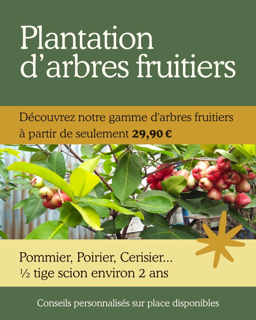 🌳 Plantation d’arbres fruitiers – Jardinerie de l’Étang 🌳

Découvrez notre gamme complète d’arbres fruitiers formés à partir de 29,90 €.
Pommiers, poiriers, cerisiers, pêchers, abricotiers… et bien d’autres variétés disponibles selon la saison.

🍎 Arbres formés : demi-tige, tige, ou gobelet
🌿 Conseils personnalisés pour la plantation et l’entretien
📦 Encore plus de choix sur commande – trouvez la variété idéale pour votre jardin disponibilité rapide.

Déjà toute une sélection disponible en magasin et sur notre site en click&collect 💻 .

📍 Jardinerie de l’Étang – 2300 route des Baisses, 13130 Berre-l’Étang
📞 07 68 13 86 85
🌐https://jardineriedeletang.fr

🌱 À la Sainte-Catherine, tout bois prend racine ! 🌱

La période de la Sainte-Catherine (25 novembre) est idéale pour planter vos arbres et arbustes à racines nues. Le sol reste doux et humide, favorisant un enracinement rapide avant l’hiver.

Conseils de plantation :

Ameublir la terre sur environ 50 cm et enrichir avec du compost ou du terreau.
Tremper les racines dans un pralin ou de l’eau avant la mise en terre.
Planter en veillant à ce que le collet soit au niveau du sol.
Tasser légèrement et arroser abondamment.
Protéger le pied avec un paillage et installer un tuteur si besoin.
Profitez de cette période pour planter vos arbres fruitiers formés disponibles à la Jardinerie de l’Étang à partir de 29,90 €.

#JardinerieDeLEtang #BerreLEtang #ArbresFruitiers #Plantation #SainteCatherine #Jardin #ConseilsJardinage #ArbresFormés #Nature #PassionJardin