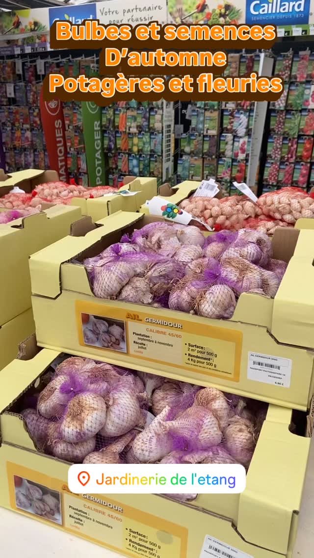 Cliquez pour accéder à la publication Instagram.