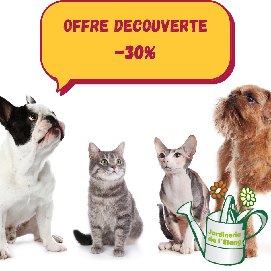 🐾 Nouvelle gamme d’alimentation pour chiens et chats – Jardinerie de l’Étang 🐶🐱

Depuis quelques mois, 🌿 La Jardinerie de l’Étang propose une #GammeComplète d’alimentation pour #Chiens et #Chats de la marque Affinity, sous la ligne #Libra.
Cette gamme grand public bénéficie de la qualité premium issue de la ligne vétérinaire #AdvanceVeterinaryDiet, reconnue pour son excellence nutritionnelle et son équilibre parfait. 🧡

Conçue pour répondre aux besoins de tous les animaux, cette alimentation convient aussi bien aux #ChiensEtChiots qu’aux #ChatsEtChatons, qu’ils soient en parfaite santé ou sujets à certaines sensibilités :
✨ perte de poils
✨ troubles urinaires
✨ digestion délicate

Les recettes sont élaborées à partir de véritables morceaux de viande et de poisson 🍗🐟 : poulet, bœuf, thon, saumon, garantissant une appétence naturelle et une nutrition complète. 🥩🐾

🎉 Profitez dès maintenant d’une remise exceptionnelle de -30% en caisse sur toute la gamme #LibraAffinity !

📍 Jardinerie de l’Étang
2300 route des Baisses, 13130 Berre-l’Étang
🕘 Encore Ouvert 7 jours sur 7, de 9h à 12h et de 14h à 18h 🌸

#JardinerieDeLEtang #AlimentationAnimale #Chiens #Chats #LibraAffinity #AdvanceVeterinaryDiet #Promo30 #BienÊtreAnimal #BerreLEtang #AnimauxHeureux