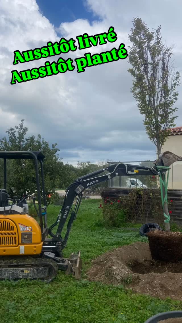 Livraison hier d’un charme planté dans la foulée
Tranchée pour haies et massif en préparation pour ce même chantier dont nous livrerons les plantes semaine prochaine.

Une création, un réaménagement, des conseils de plantations pour un suivie de A à Z ne cherchez plus Jardinerie de l’étang 

Une seule adresse 2300 route des Baisses 13130 Berre l’étang 

#jardineriedeletang #creationjardin #plantation #berreletang #conseiljardin #ideeamenagement