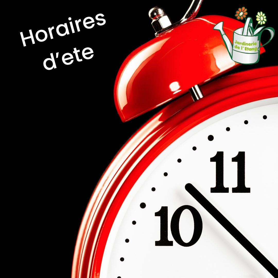 A partir du 01 juillet et jusqu’au 31 août 🚨🚨

Votre Jardinerie sera ouverte du Lundi au Samedi de 8H à 12H 🕞🕞🕞

🥵 chaleur sous serre devenant équivalente à un Sauna nous préférons épargner les organismes de Tous ☀️☀️

Merci de votre comprenhension