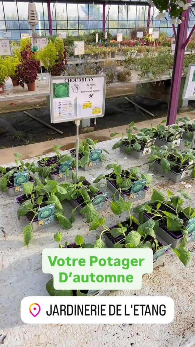 #jardineriedeletang #berreletang #rognac #lafarelesoliviers #potager #jardinerie #plantsplantsplants