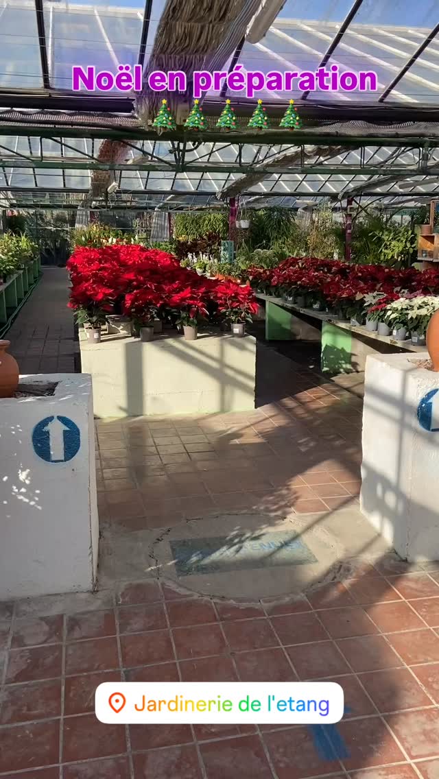 Cliquez pour accéder à la publication Instagram.