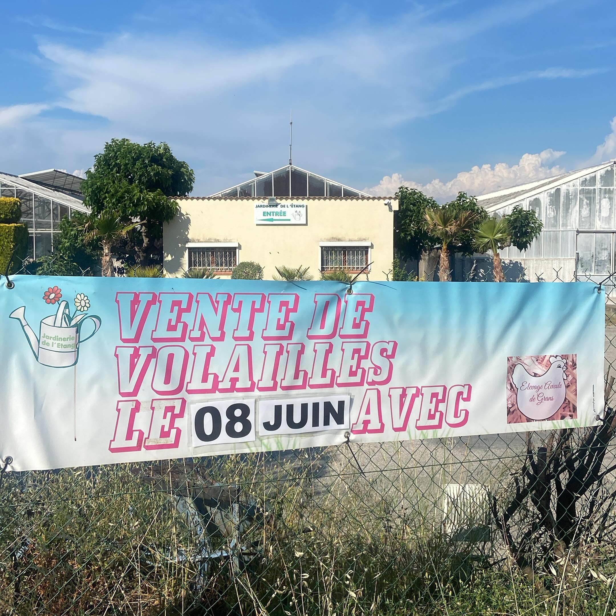 Ce samedi matin 9h-12h 
Vente de volailles sur le parking de la jardinerie 
Partenariat de qualité avec élevage de Grans 

Toujours pas changé d’adresse 2300 route de Baisses 13130 Berre l’étang 

#vollaile #elevage #grans #jardinerie #berreletang #jardineriedeletang