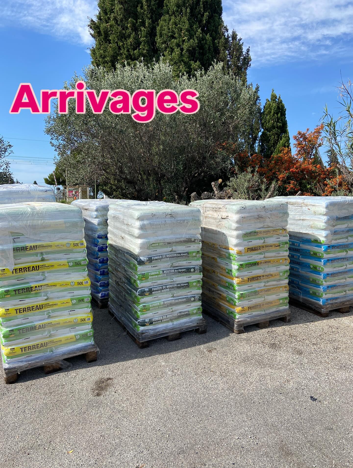 On continue à remplir nos rayons pour cet automne.
Terreau Horticole toutes plantes 20/50/70L
Terre végétale amende criblée en sac ou en vrac 
Terreau semis 
Terre bruyère forestière (véritable)
Terreau plantes méditerranéennes : agrumes, oliviers, lauriers, bougainvilliers…
Fumier de cheval 
Fumier de mouton

#terreaux #amendement #engraisnaturel #jardinerie #terrevegetale #jardineriedeletang #berreletang