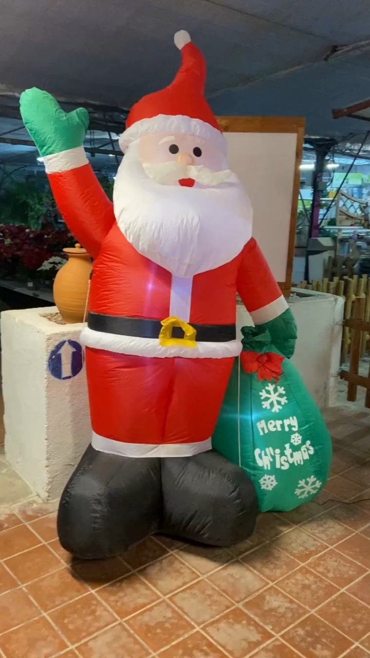 🎄 Offrez une plante ou une composition florale 🌿
Pour Noël ou pour remercier d’une invitation, rien de plus naturel qu’un cadeau végétal.
Une belle plante verte 🌱, une orchidée élégante 🌸 ou une composition florale de saison 💐 apportent toujours une touche de vie et d’émotion.

C’est un présent qui dure, qui embellit un intérieur et qui transmet un message sincère : attention, gratitude et partage 💚.

Découvrez à la Jardinerie de l’Étang une large sélection d’idées cadeaux naturelles et raffinées :
🌷 Jacinthes parfumées
🌺 Amaryllis éclatants
🌹 Roses de Noël délicates
🌵 Cactus de Noël originaux
🌾 Terrariums décoratifs
🌸 Orchidées raffinées
🌼 Compositions florales personnalisées

Des créations prêtes à offrir pour toutes les occasions 🎁.

📍 Jardinerie de l’Étang
2300 route des Baisses
13130 Berre-l’Étang
📞 07 68 13 86 85
✉️ contact@jardineriedeletang.fr

#JardinerieDeLEtang #NoelNaturel #CadeauVégétal #CompositionFlorale #PlantesDeNoel #Jacinthe #Amaryllis #RoseDeNoel #CactusDeNoel #Terrarium #Orchidée #FleursDeSaison #IdéeCadeau #BerreLEtang #JardinNaturel #FleursEtPlantes