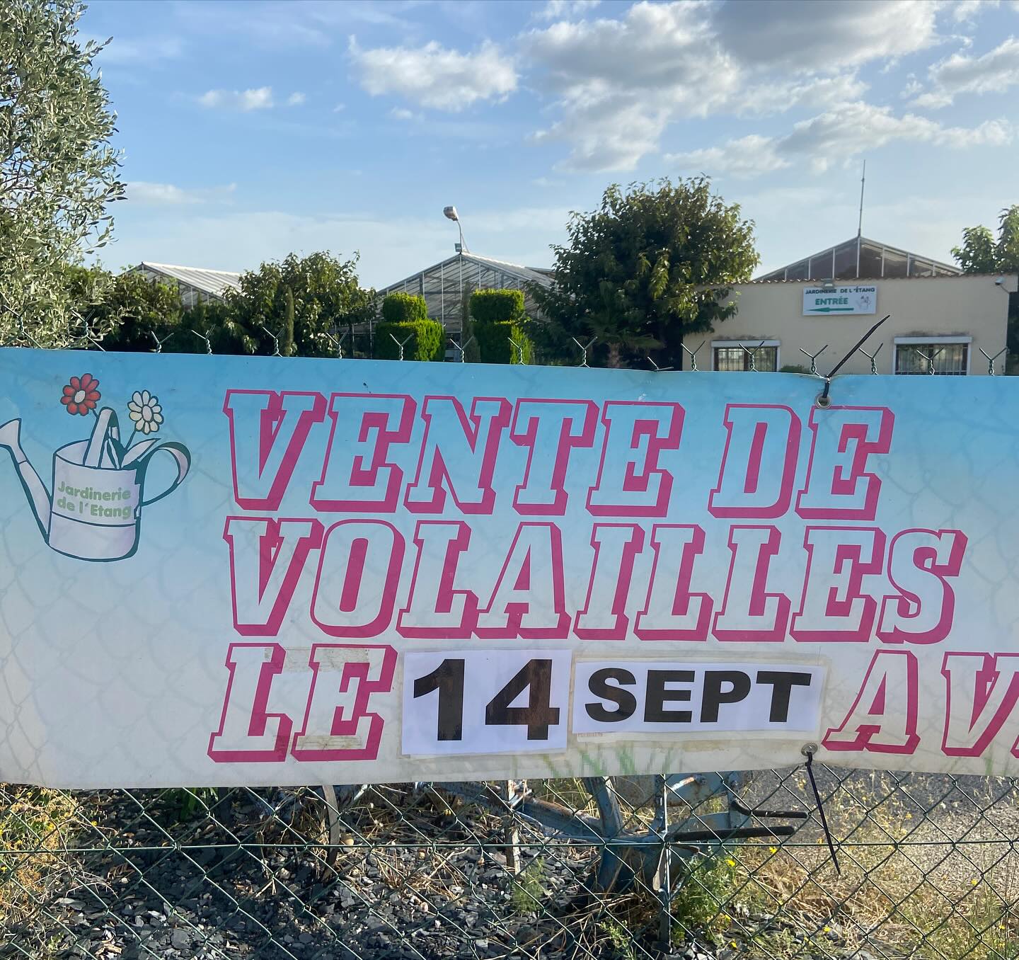 Ce samedi matin de 9h à 12h volailles de Grans est à la jardinerie de l’étang. 

Poule, poulet, poussin et autres volailles pour cuisiner ou élever. 

Pour plus d’info ou réservation un seul numéro :

06 35 22 16 92

#volaille #grans #poule #bassecours #jardinerie #berreletang