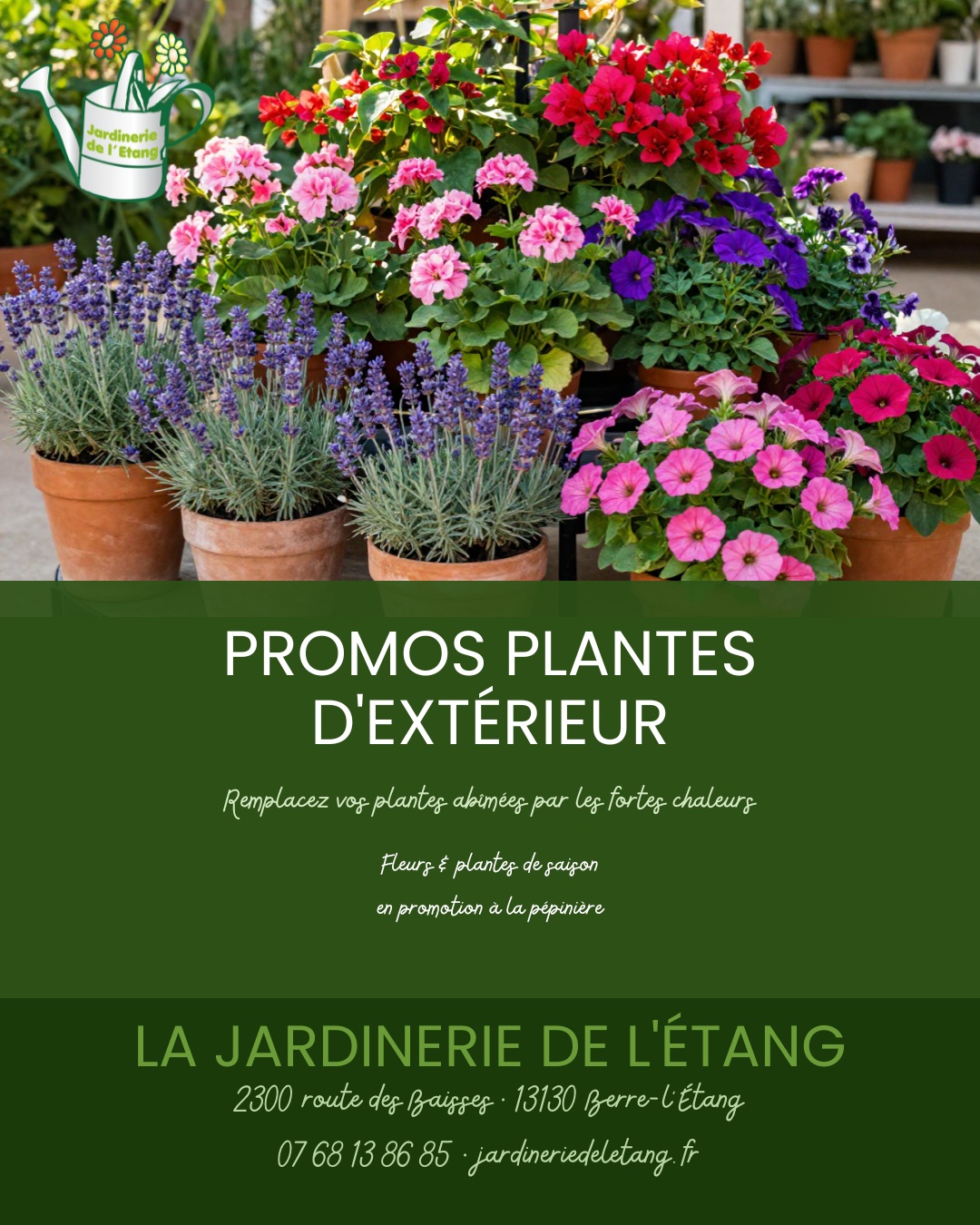🌿 Vos plantes ont souffert de la canicule cet été ? 🌞

C'est le moment idéal pour redonner vie à votre jardin ! 🌺

✨ PROMOTIONS EN COURS ✨
Profitez de nos offres exceptionnelles sur une large sélection de fleurs et plantes d'extérieur de saison pour remplacer vos végétaux abîmés par les fortes chaleurs.

🌸 Plantes vivaces résistantes
🪴 Arbustes fleuris
🌼 Fleurs de saison
🌱 Conseils personnalisés offerts

Nos experts sont là pour vous guider et vous aider à choisir les plantes les mieux adaptées à votre jardin ! 💚

📍 LA JARDINERIE DE L'ÉTANG
2300 route des Baisses • 13130 Berre-l'Étang
📞 07 68 13 86 85
🌐 jardineriedeletang.fr

Venez vite en profiter ! 🌿

#JardinerieDeLEtang #BerrelEtang #Jardinerie #PlantesExterieur #Promotion #Jardin #Jardinage #PlantesDesSaison #MainVerte #JardinProvencal #Pepiniere #FleursDeSaison #JardinDEte #PlantesResistantes #ConseilsJardinage #BouchesduRhone #Provence #GreenLife #PlantLovers #JardinPassion