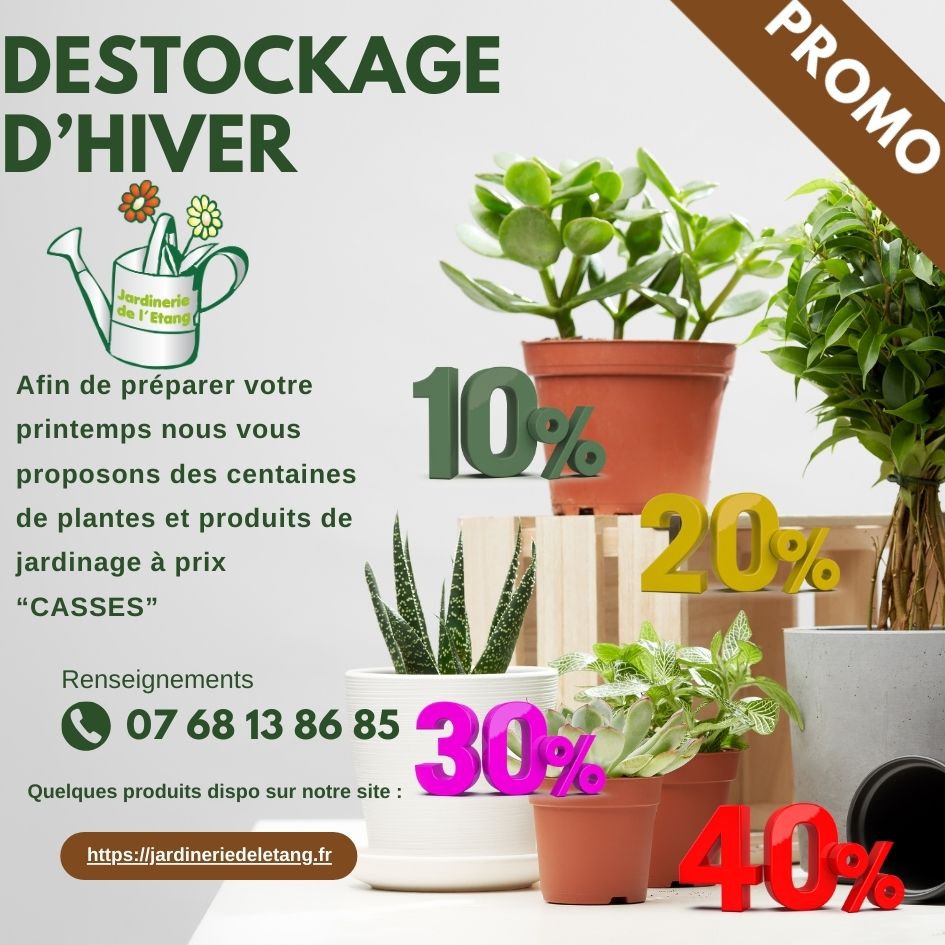 🌸💥 Déstockage d’Hiver à la Jardinerie de l’Étang 💥🌸
Préparez le 🌷 printemps dès maintenant ou redonnez vie à votre intérieur avec notre grand déstockage d’hiver !
Il n’y en aura pas pour tout le monde — stock disponible dans la limite des quantités en magasin !

🌿 Plantes d’intérieur 
Créer une ambiance naturelle et chaleureuse à la maison :
🪴 Ficus, monstera, philodendron, spathiphyllum
🌵 Cactus et succulentes faciles d’entretien
🌸 Orchidées et plantes fleuries décoratives

Des plantes idéales pour purifier l’air et apporter une touche de verdure à chaque pièce.
#plantesintérieures #déstockagehiver #maisonverte #jardinieriedeletang #lancondeprovence

🌳 Plantes d’extérieur 
Embellir, créer ou aménager vos espaces verts :
🌿 Arbustes, conifères, vivaces et graminées
🍋 Plantes méditerranéennes et fruitiers
🌹 Rosiers et plantes de haie

De quoi structurer massifs, terrasses et allées avant le retour des beaux jours.
#plantesextérieures #jardin #printemps #promotion #salondeprovence

🪴 Poteries
Accueillir vos nouvelles plantations, décorer vos intérieurs et extérieurs :
🏺 Pots terre cuite, émaillé ou plastique.
🌼 Jardinières et cache-pots décoratifs
🌿 Contenants adaptés à toutes les tailles de plantes

L’occasion parfaite pour harmoniser vos espaces intérieurs et extérieurs.
#poterie #décojardin #bonsplans #jardinieriedeletang #lafarelesoliviers

🔧 Outils et matériel d’arrosage
Renouveler votre matériel de jardinage ou réparer votre arrosage à moindre cout ?
🧤 Sécateurs, pelles, râteaux et gants
💧 Tuyaux, arrosoirs, raccords et accessoires FITT
🌱 Équipements pratiques pour entretenir et arroser efficacement vos plantations

Des indispensables pour préparer le jardin avant le retour des beaux jours.
#outilsdejardin #arrosage #entretienjardin #déstockage #velaux

📍 Jardinerie de l’Étang
2300 route des Baisses, 13130 Berre-l’Étang
📞 07 68 13 86 85
✉️ contact@jardineriedeletang.fr

#jardinieriedeletang #berreletang #rognac #déstockagehiver #jardinage #bonsplansjardin #stocklimité #soldes