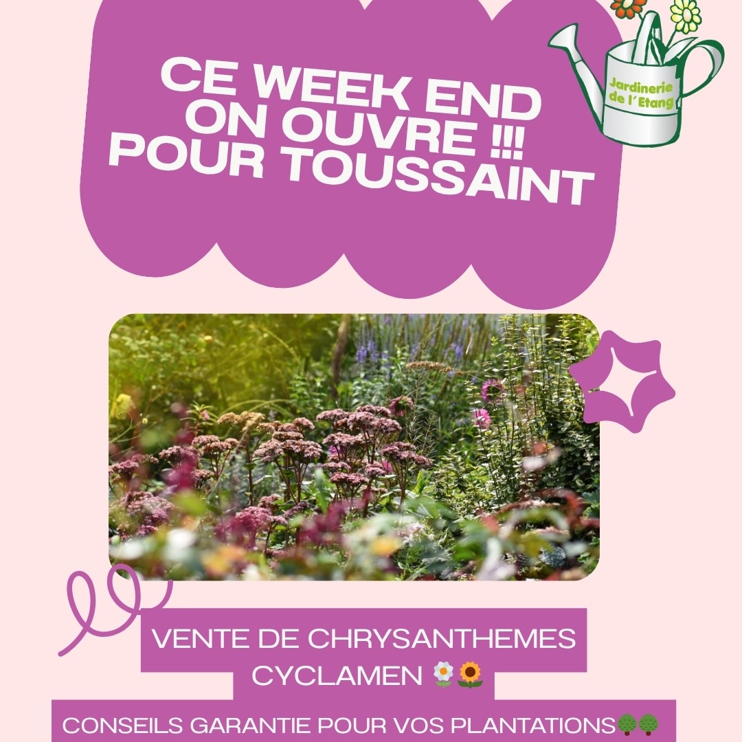 🌸 Ce week-end, on ouvre ! 🌸

🗓️ Samedi 1er et dimanche 2 Novembre
🕘 9h à 12h et 14h à 18h

Venez faire le plein de couleurs pour la Toussaint 🌼
👉 Chrysanthèmes
👉 Cyclamens
👉 Bruyères
👉 Pensées
👉 Violas
... et plein d’autres jolies plantes à découvrir 🌿

💬 Notre équipe est là pour vous conseiller, aussi bien pour vos achats de la Toussaint comme pour vos plantations d’automne 🍂
Et n’oubliez pas : à la Sainte-Catherine, tout bois prend racine ! 🌱

📍 Jardinerie de l’Étang
2300 route des Baisses – 13130 Berre-l’Étang

📞 07 68 13 86 85

💐 Ambiance conviviale, belles fleurs et bonne humeur garanties ! 🌞

#toussaint #ouverture #chrysantheme #cyclamen #jardinerie #conseils #plantes #berrelétang #jardineriedeletang #rognac #velaux #lancondeprovence #saintchamas