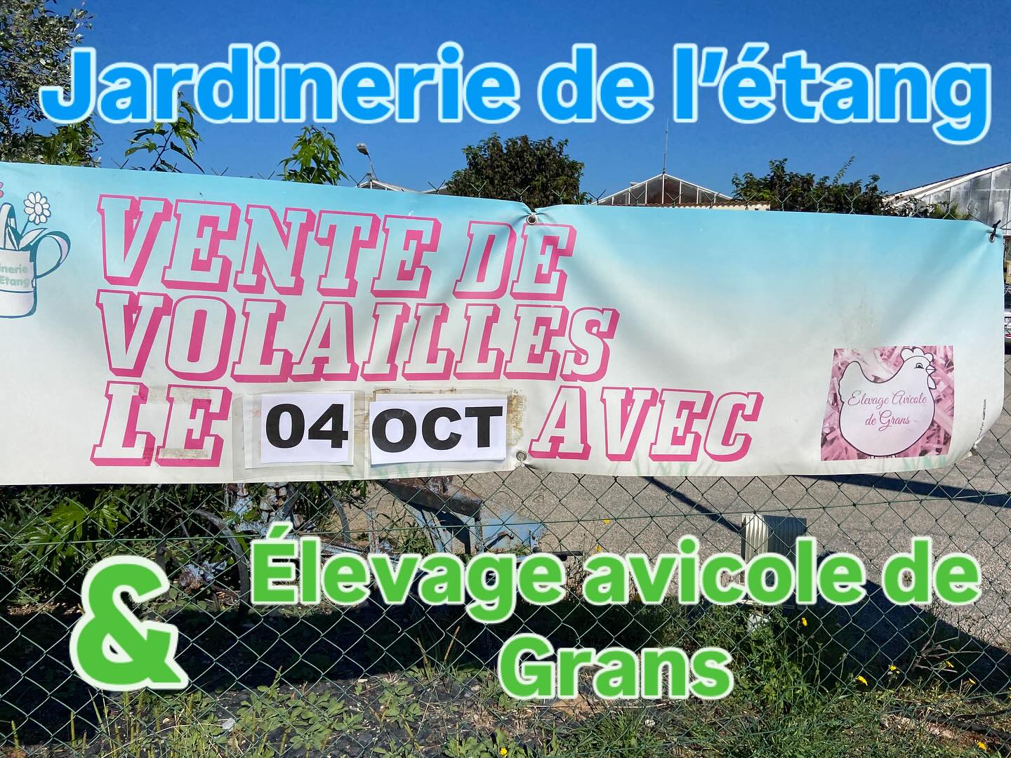 Ne loupez pas ce rendez-vous de samedi 4 octobre de 9h à 12h avec la venue des Volailles de Grans sur le parking de votre Jardinerie

pour toutes informations ou réservation, n’hésitez pas à les contacter au 06 35 22 16 92

#volaillefrançaise #poule #poulets #bassecour #jardinerie #éleveur #local #berrelétang #grans