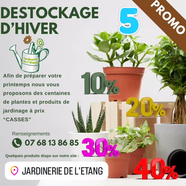 Cliquez pour accéder à la publication Instagram.