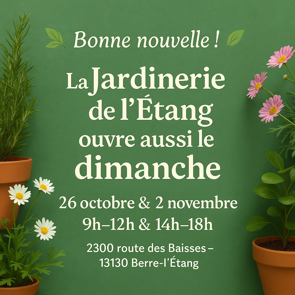 Ouverture exceptionnelle !
du 26/10/2025 à 09h00 au 02/11/2025 à 17h00

🌼 Bonne nouvelle pour tous les amoureux du jardin !
La Jardinerie de l’Étang sera ouverte exceptionnellement les dimanches 26 octobre et 2 novembre, de 9h à 12h et de 14h à 18h 🌿
Pour la vente de ses Chrysanthèmes, Cyclamen et fleurs de saison pour la Toussaint 🌻🌼🌸
Mais aussi découvrir nos plantes, fleurs et conseils de saison dans une ambiance conviviale 🌞
📍 2300 route des Baisses – 13130 Berre-l’Étang
#jardinerie #berreletang #plantes #jardin #fleurs #ouvertureexceptionnelle #provence #nature #dimanche #jardineriedelétang