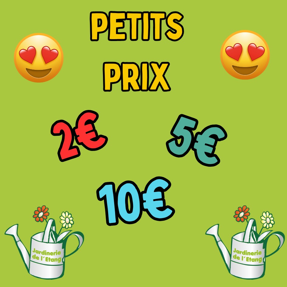 🌿 Nouveaux rayons “Déstockage – Petits Prix” 🌿

La vie n’est pas donnée… essayons de l’améliorer ensemble ! 💚

Profitez de bons plants jardin sur nos fins de série, invendus et articles à petits défauts, fin de série...

🌸 Plantes, Fleurs à rempoter
🧤 Outils & accessoires
🫙Poterie & vases
💧 Décos et tuyaux d’arrosage

Parce que jardiner doit rester un plaisir accessible à tous 🌱

👉 Venez découvrir nos espaces de déstockage à la jardinerie !

📍 2300 route des Baisses – Berre-l’Étang
📞 07 68 13 86 85
📧 contact@jardineriedeletang.fr

#JardinDeLEtang #Déstockage #PetitsPrix #Jardinage #BerreLEtang #BonPlanJardin #Jardinerie #EcoResponsable