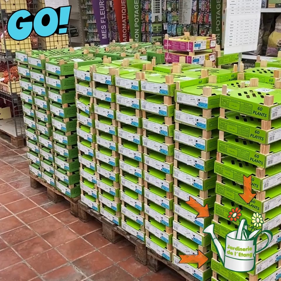 🌿 La Jardinerie de l’Étang – Le bon conseil pour planter ! 🌸

À la Jardinerie de l’Étang, on sait qu’un beau jardin commence toujours par de bonnes plantations au bon moment avec de bons conseils 🌞.

C’est la saison idéale pour préparer vos semis et plantations de semences et bulbes :

🥔 Pommes de terre
🧅 Oignons
🧄 Ail
🌰 Crosnes
🌿 Gingembre, etc.

Nos équipes 🌻 vous conseillent sur les variétés, la préparation du sol et les bons gestes pour réussir vos cultures 🌾.

Retrouvez tout le nécessaire en magasin : plants, terreau, outils, paillage, conseils personnalisés, etc. 🪴

📍 2300 route des Baisses, 13130 Berre-l’Étang
📞 07 68 13 86 85
✉️ contact@jardineriedeletang.fr
Site : https://jardineriedeletang.fr

#Jardineriedeletang #Berreletang #Plantation #Semences #Bulbes #Pommedeterre #Oignons #Ail #Crosnes #Gingembre #Jardin #ConseilsJardinage #Paillage #Terreau #OutilsJardin #Paysagiste #JardinProvence