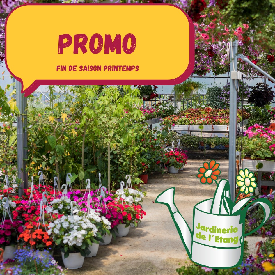 🌿Fin de saison de printemps en Fanfare à La Jardinerie de l’Étang 🌸

Le printemps tire sa révérence… et c’est le moment de faire de super affaires !
Les fins de série sont à prix tout doux, alors profitez-en vite !

💚 Nos promos de fin de saison :

🥕 -40 % sur les plants de légumes
🌼 -40 % sur les fleurs
🌳 -20 % sur les plantes extérieures

On compte sur vous pour nous aider à vider les stocks et nous aidez à préparer la saison automne a venir !

Les nouvelles productions de fleurs et de plantes sont déjà repiquées et prêtes à pointer le bout de leur nez en temps et heure comme chaque année 💐
D'ailleurs les premiers plants de légumes d’automne arriveront mi-juillet… 

Alors, prêts à replonger ou a continuer a mettre les mains dans la terre amis potagiste et jardinier ? 🌱

Votre jardin c'est l'affaire de :
📍 La Jardinerie de l’Étang
2300 route des Baisses
3130 Berre-l’Étang

🕘 Ouvert tous les jours, même les jours fériés : 9h–12h / 14h–18h

🌞 Des plantes, des promos et une bonne dose de bonne humeur vous attendent !

#LaJardinerieDeLEtang #FinDeSaison #PromotionsJardin #Plantes #Fleurs #Légumes #Jardinage #BerreLEtang #BonnesAffaires #PlantesDAutomne #Jardin #Nature #PromoJardin #PassionJardin #ViveLePrintemps #ViveLAutomne
