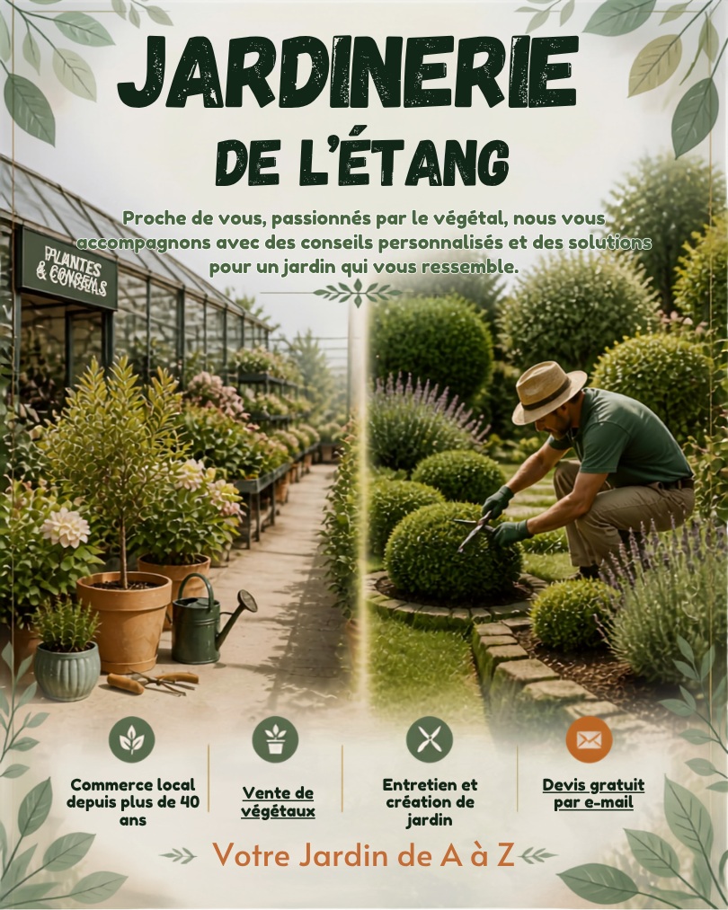 Votre jardin, notre passion

🌿 Depuis plus de 40 ans, La Jardinerie de l’Étang accompagne les habitants du coin avec le même esprit : proximité, qualité, prix et amour du végétal.

🌸 Envie d’embellir votre extérieur, petit ou grand ?
À la jardinerie, retrouvez un large choix de végétaux :
Plantes fleuries 🌼
Plantes vivaces
Arbustes
Arbres
Graminées
Plantes aromatiques 🌿
Plantes de saison
Variétés adaptées à la terrasse ou au balcon 🪴

🌱 Besoin d’idées faciles à vivre ? Nous vous guidons vers des plantes peu exigeantes et faciles d’entretien (selon votre exposition) pour un joli résultat au quotidien.

🏡 Et pour aller plus loin, notre équipe de paysagistes vous accompagne de A à Z :
Création de massifs
Plantation
Aménagement d’espaces extérieurs
Conseils personnalisés

🧤 Côté entretien, nous intervenons aussi pour :
La tonte
La taille de haies et arbres
L’entretien régulier du jardin
Le suivi au fil des saisons, en toute confiance
Avec crédit d’impôts de 50% c’est toujours possible et immédiat sur votre facture.

✅ Expérience, conseil et accompagnement personnalisé : chaque projet est pris en main avec attention, selon vos envies et votre terrain.

✉️ Envie d’un extérieur qui vous ressemble ? Demandez votre devis gratuit en nous contactant par email : contact@jardineriedeletang.fr

#LaJardinerieDeLEtang #Jardinerie #Paysagistes #Jardin #Terrasse #Balcon #Végétaux #PlantesDeSaison #PlantesVivaces #Aromatiques #AménagementExtérieur #EntretienDeJardin #CréationDeJardin #ConseilsJardin #CommerceLocal #Proximité