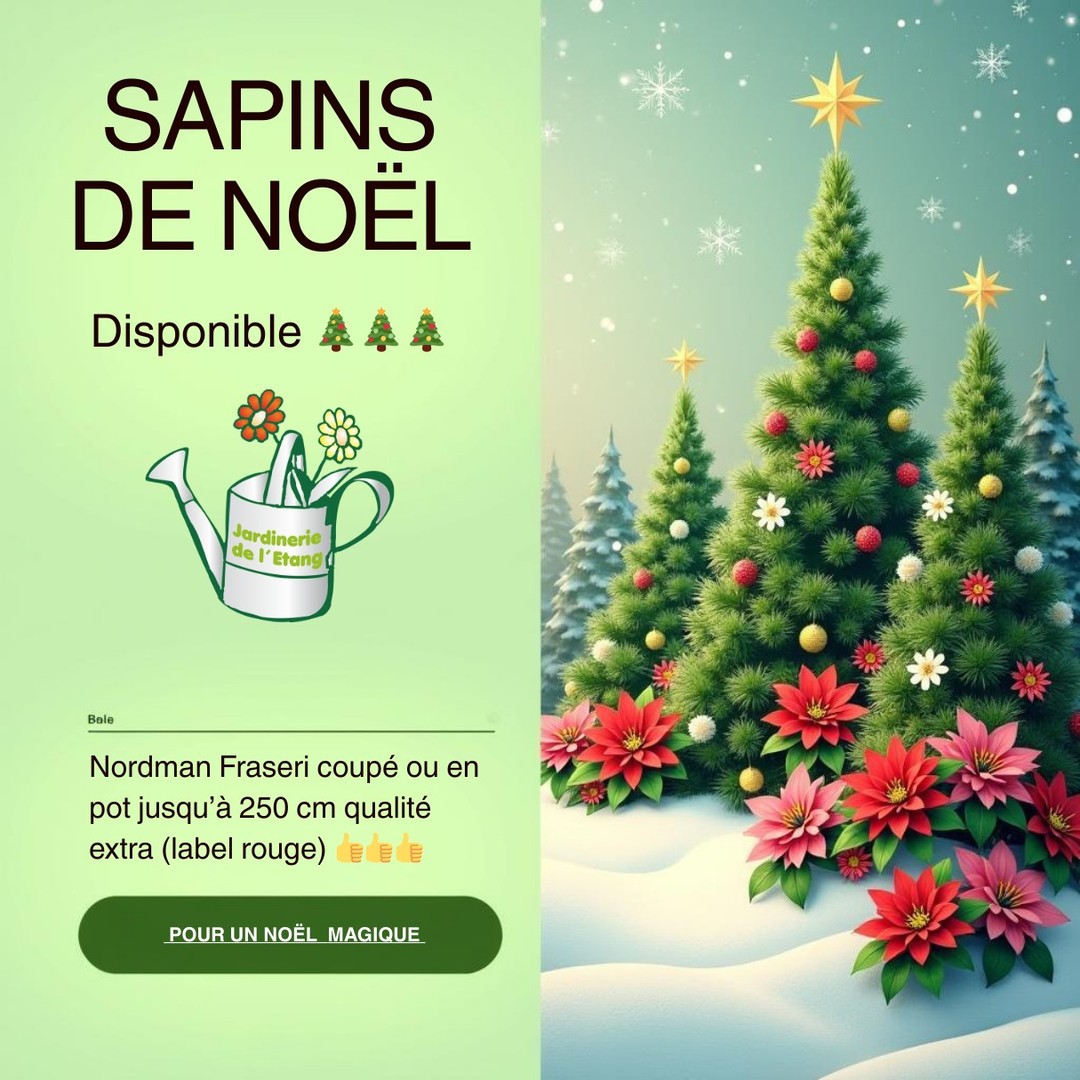🎄✨ Ho Ho Ho ! Les sapins sont arrivés à la Jardinerie de l’Étang ! 🎅🌟
Le Père Noël a fait une pause café chez nous avant sa tournée, et il a laissé derrière lui une forêt miniature ! 🌲🎁
🌲 Sapin Nordmann coupé de 80 cm à 250 cm – du petit modèle pour studio au géant pour salon XXL.
🎄 Sapin Fraseri en pot de culture de 125 cm à 150 cm – parfait pour replanter après les fêtes et prolonger la magie de Noël dans le jardin 🌱💚
Et pour compléter la déco :
✨ Poinsettias, orchidées, mousses décoratives et plein d’autres plantes prêtes à transformer la maison en chalet du Père Noël 🎅🏡
📍 Jardinerie de l’Étang
2300 route des Baisses, 13130 Berre-l’Étang
📞 07 68 13 86 85
📧 contact@jardineriedeletang.fr
Venez vite choisir votre sapin avant que les lutins ne les adoptent tous ! 🧝‍♂️🎁

#Jardineriedeletang #Noel2025 #SapinDeNoel #SapinNordmann #SapinFraseri #NoelDurable #DecorationNoel #PlantesDeNoel #BerreLEtang #MagieDeNoel #EspritDeNoel #FetesDeFinDannee #Jardinage #Nature #ReplanterSonSapin
Commander en ligne : https://jardineriedeletang.fr/index.php?controller=search&orderby=position&orderway=desc&search_query=sapin