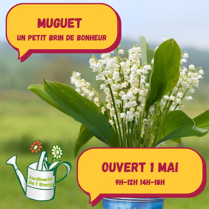 Cliquez pour accéder à la publication Instagram.