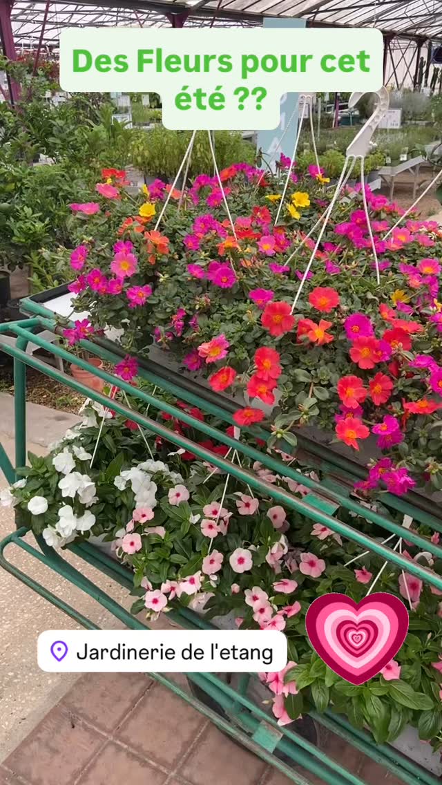 #jardineriedeletang #berreletang #jardin #jardinerie #rognac #lafarelesoliviers #fleurs