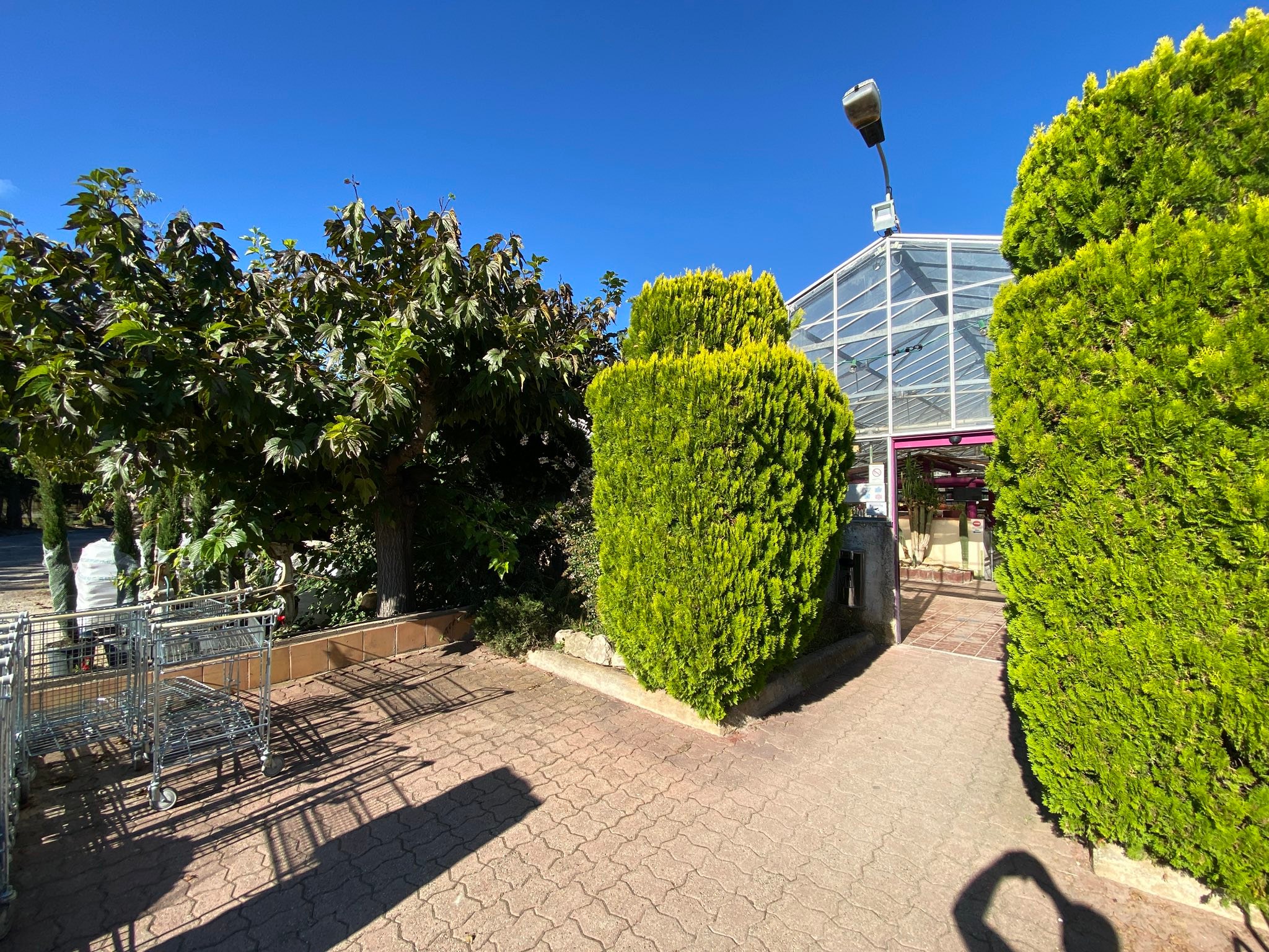 À la jardinerie de l’étang voilà comment on entretien bis extérieur actuellement ✂️✂️✂️

Et vous vous concevez comment l’entretien de vos jardins ? 🤔🤔🤔

Besoin d’aide pour votre jardin aménagement ou entretien, une seule adresse : 

Jardinerie de l’étang 
2300 Route des Baisses 
13130 Berre l’étang 

#jardin #entretienjardin #jardinerie #jardineriedeletang #paysagiste #berreletang