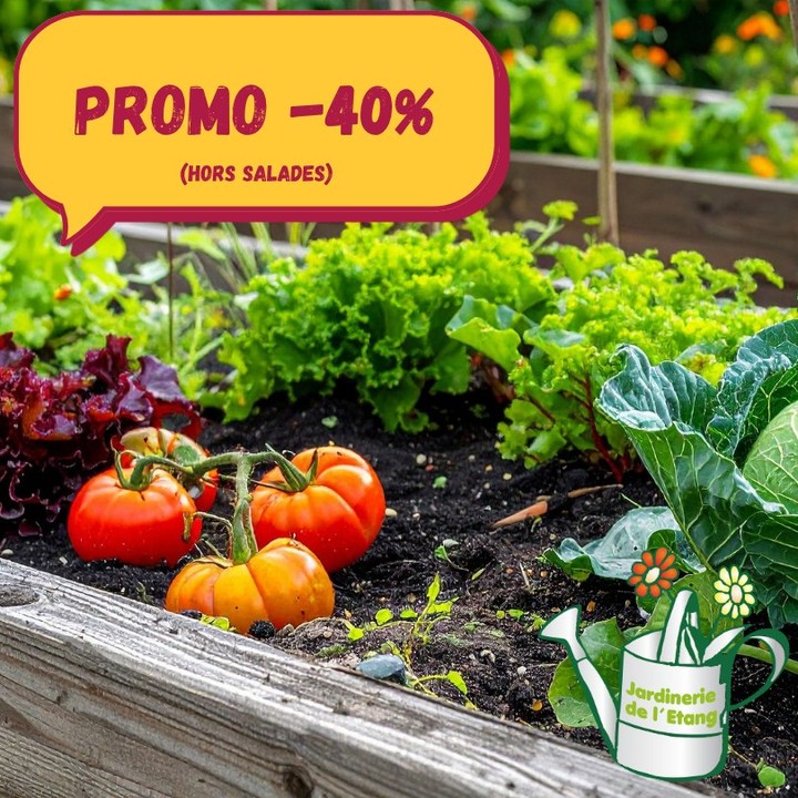 🌞 Les Saints de Glace sont partis… et ils ont emporté la fraîcheur avec eux ! 🔥
Les plants ont fondu plus vite qu’une glace au soleil ?
Le potager n’a toujours pas vu le jour ?
Pas de panique, la Jardinerie de l’Étang a la solution pour les retardataires du jardinage ! 😎🌿

💥 -40% sur tous les plants de légumes
(hors salades, elles ont déjà pris leurs vacances !)

Mais attention… c’est fin de série !
Ce qu’il y a sur la table, c’est tout ce qu’il y aura.
Alors filez plus vite qu’un escargot sous la pluie avant qu’il ne reste que les étiquettes ! 🐌💨

📍 La Jardinerie de l’Étang
2300 route des Baisses, 13130 Berre-l’Étang
🕘 Ouvert 7j/7, même les jours fériés
9h00-12h00 / 14h00-18h00

🌶️ Le soleil tape, les prix chutent… et le potager n’attend plus que vous !



#LaJardinerieDeLEtang #BerreLEtang #PromoJardin #FinDeSerie #Potager #PlantsDeLegumes #Jardinage #JardinierEnHerbe #PlantesAromatiques #JardinPassion #JardinBio #JardinDuSud #JardinDeLEtang #BonPlanJardin #ViveLePotager #JardinEnFolie #JardinMediterraneen #JardinLocal #JardinDesSaveurs #JardinDeSaison